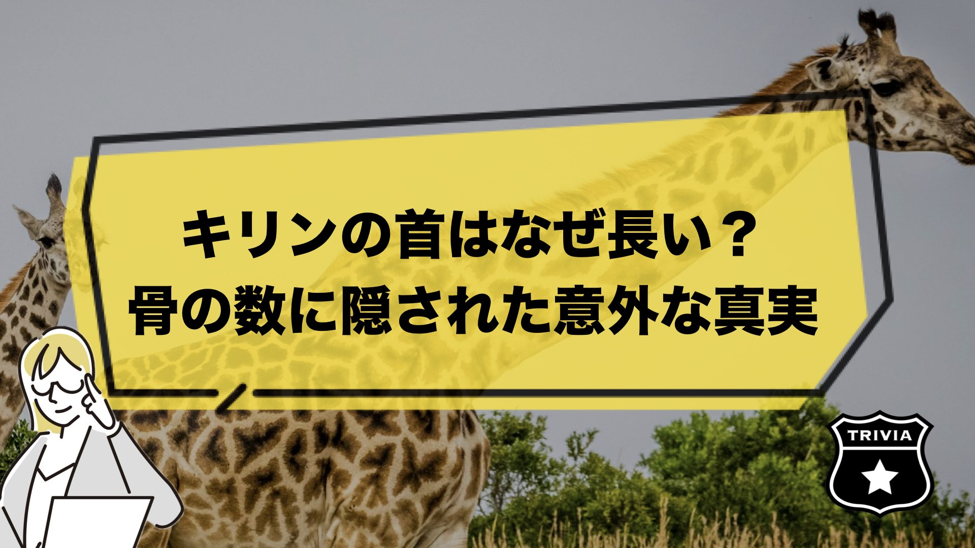 キリンの首はなぜ長い？骨の数に隠された意外な真実