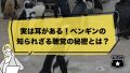 実は耳がある!ペンギンの知られざる聴覚の秘密とは? 実は耳がある!ペンギンの知られざる聴覚の秘密とは?
